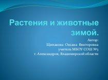 Презентация по окружающему миру на тему Растения и животные зимой