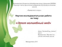 Презентация по экологии на тему Этот волшебный мед (2 класс)