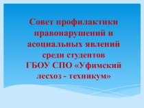 Презентация работы Совета профилактики