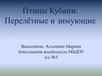 Знакомство с родным краем. Птицы КУбани