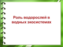 Подцарство Высшие растения