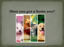 Презентация по английскому языку на тему: Have you got a home zoo?