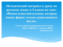 Презентация по русскому языку в классе Имена существительные единственного числа