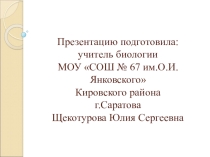 Презентация к уроку. Тема:  Строение и жизнедеятельность бактерий