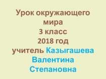 Презентация по окружавющему миру Полезные ископаемые (3 класс)