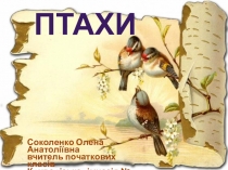 Презентація з природознавства. Хто такі птахи?