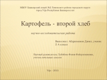 Презентация Картофель - второй хлеб