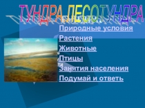 Презентация по предмету окружающий мир Тундра(3-4 классы)
