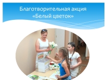 Презентация Акция Белый цветок