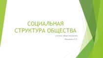 Презентация по обществознанию на тему Социальная структура общества