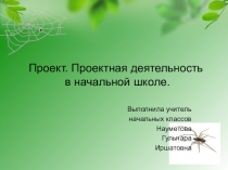 :Проект.Проектная деятельность в начальной школе.