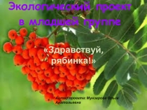 Экологический проект в младшей группе Здравствуй, рябинка!
