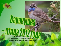 Презентация Варакушка - птица года