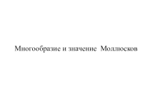 Презентация Многообразие и значение Моллюсков