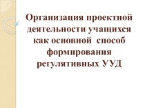 Презентация внеклассной работы проекта Моя школьная клумба