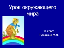 Презентация по окружающему миру на тему Где живут белые медведи? (1 класс)