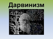 Дарвинизм