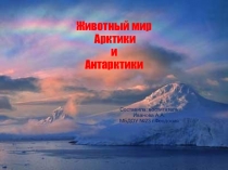 Презентация к НОД Животные севера