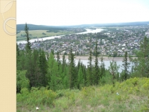 Презентация к экологическому проекту Оценка загрязненности воздуха