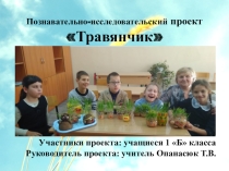 Презентация экологического проекта Травянчик (1класс)