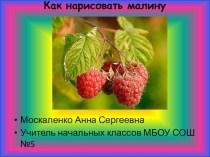 Презентация к уроку изобразительного искусства Лесные ягоды