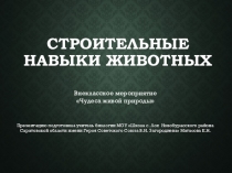 Строительные навыки животных