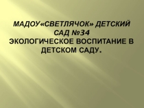 Экологическое воспитание в детском саду.