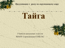 Презентация к уроку окружающего мира по теме Тайга