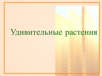 Презентация Удивительные растения мира
