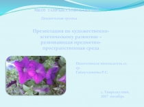 Презентация по Художественно-эстетическому развитию РППС