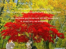 Фонетика 5 класс