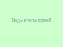Презентация по биологии на тему:: Виды корней 6 класс