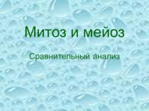 Презентация по биологии на тему Митоз/Мейоз