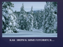 Презентация Как звери готовятся к зиме