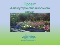Проект благоустройства школьного двора