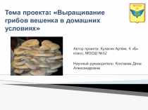 Презентация по окружающему миру для начальной школы Грибы
