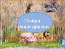 Презентация к мероприятию Птицы -наши друзья