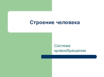 Урок презентация система кровообращения
