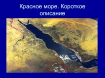 Презентация по окружающему миру