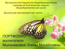 Портфолио воспитателя дошкольной группы