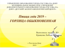 Презентация по экологии : Обыкновенная горлица