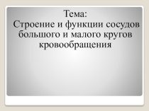 Презентация по биологии на тему строение и функция кругов кровообращения 8 класс
