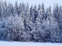 2 сыйныфта математика дәресенә презентация. Тема:1-4 саннарының тапкырлау таблицасын кабатлау, ныгыту.