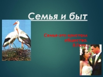 Презентация Семья и быт (11 класс)
