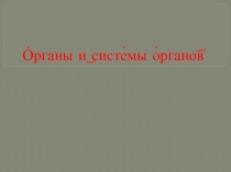 Презентация по биологии на тему Органы и системы органов ( 7 класс)