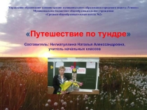 Презентация к внеклассному занятию Путешествие по тундре (3 класс)