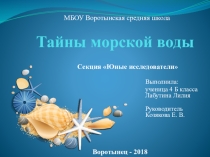 Презентация исследовательской работы 4 класс