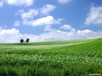 Презентация по окружающему миру на тему