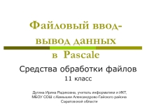 Презентация по информатике для 11 класса Файловый ввод-вывод данных в Pascal