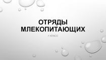 Презентация по биологии на тему Отряды Млекопитающих (7 класс)